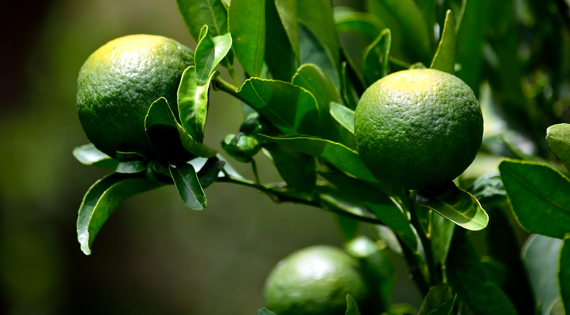 好博官网-钻营健全,你我一路成长