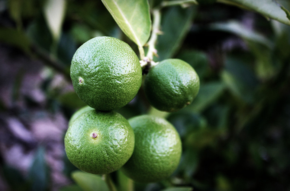 好博官网-钻营健全,你我一路成长