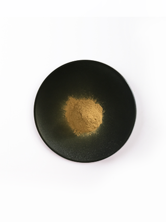 好博官网-钻营健全,你我一路成长